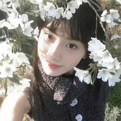 青纱红泪