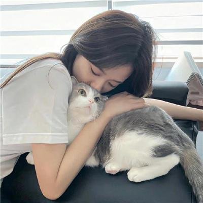 妙警贼探第六季